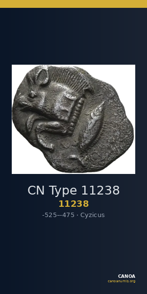 CN Type 11238 — CANOA