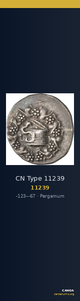 CN Type 11239 — CANOA