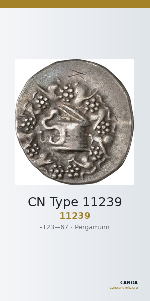 CN Type 11239 — CANOA