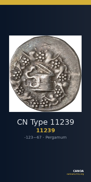CN Type 11239 — CANOA