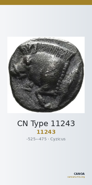 CN Type 11243 — CANOA