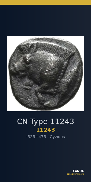 CN Type 11243 — CANOA