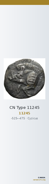 CN Type 11245 — CANOA