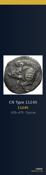 CN Type 11245 — CANOA