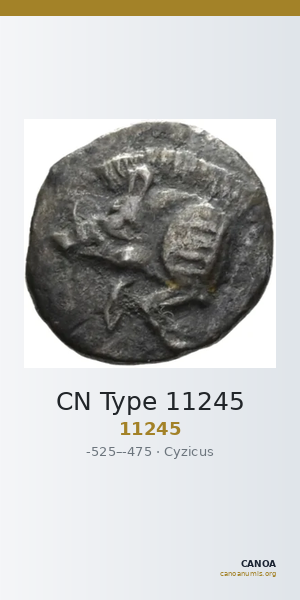 CN Type 11245 — CANOA