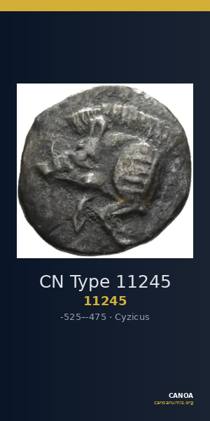 CN Type 11245 — CANOA