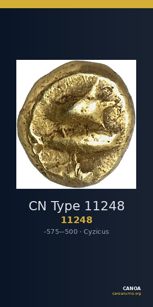 CN Type 11248 — CANOA