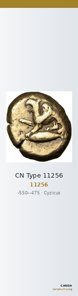 CN Type 11256 — CANOA