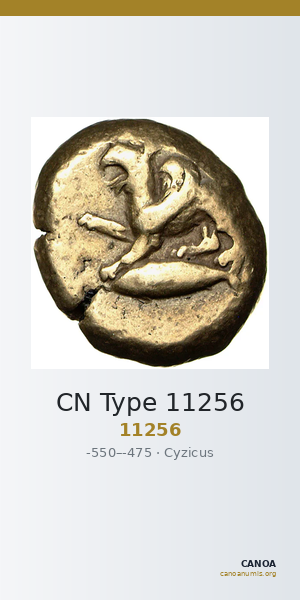 CN Type 11256 — CANOA