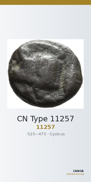 CN Type 11257 — CANOA