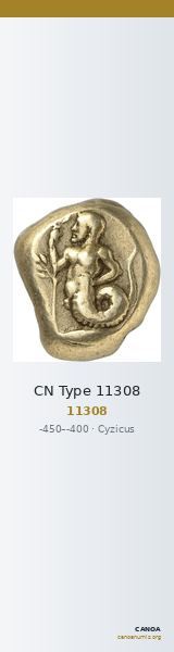 CN Type 11308 — CANOA