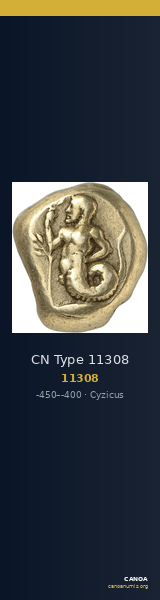 CN Type 11308 — CANOA