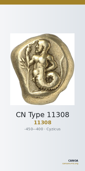 CN Type 11308 — CANOA
