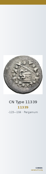 CN Type 11339 — CANOA