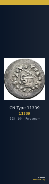 CN Type 11339 — CANOA