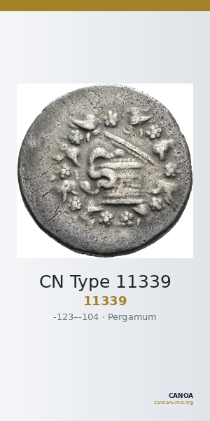 CN Type 11339 — CANOA