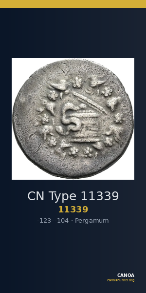 CN Type 11339 — CANOA