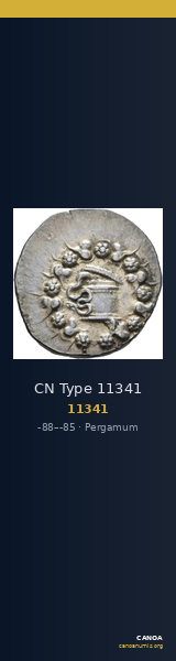 CN Type 11341 — CANOA