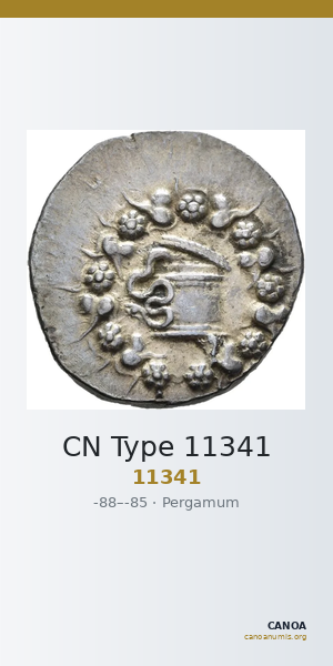 CN Type 11341 — CANOA