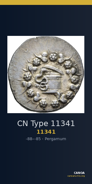 CN Type 11341 — CANOA