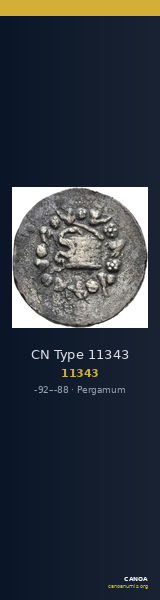 CN Type 11343 — CANOA