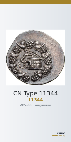 CN Type 11344 — CANOA