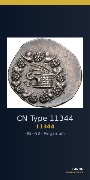 CN Type 11344 — CANOA