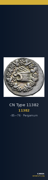 CN Type 11382 — CANOA