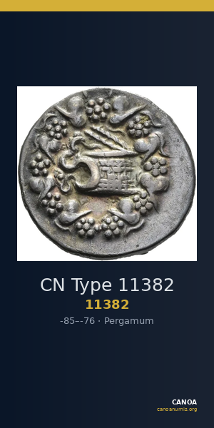 CN Type 11382 — CANOA