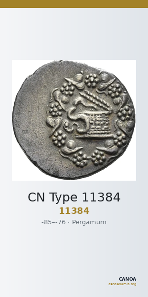 CN Type 11384 — CANOA