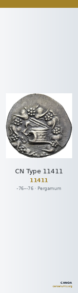 CN Type 11411 — CANOA
