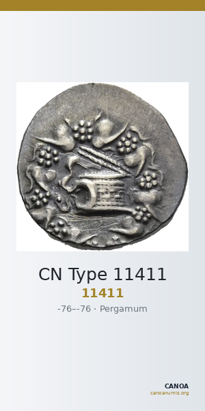 CN Type 11411 — CANOA