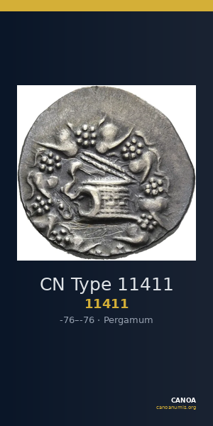 CN Type 11411 — CANOA