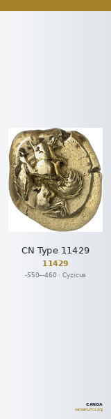 CN Type 11429 — CANOA