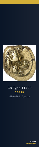 CN Type 11429 — CANOA