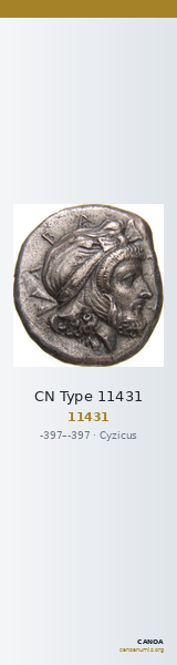 CN Type 11431 — CANOA