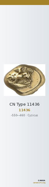 CN Type 11436 — CANOA
