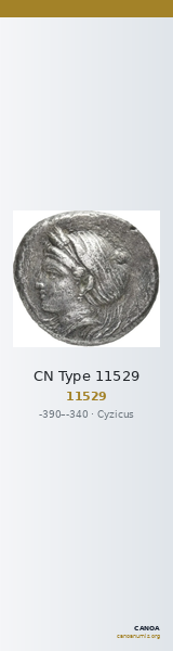 CN Type 11529 — CANOA