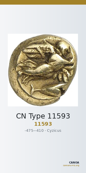 CN Type 11593 — CANOA