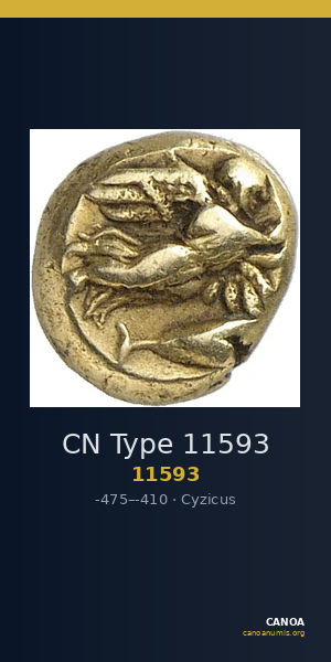 CN Type 11593 — CANOA