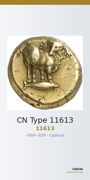 CN Type 11613 — CANOA