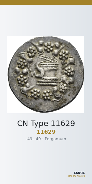 CN Type 11629 — CANOA