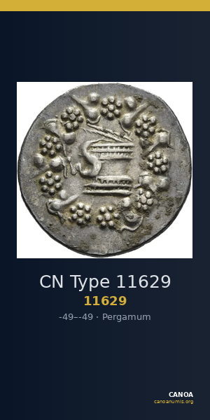 CN Type 11629 — CANOA