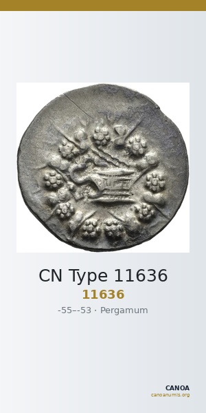 CN Type 11636 — CANOA