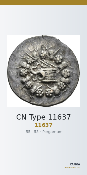 CN Type 11637 — CANOA