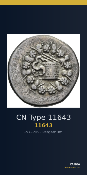 CN Type 11643 — CANOA