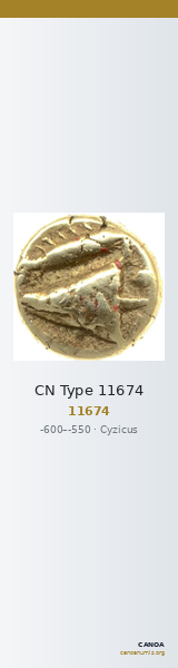 CN Type 11674 — CANOA