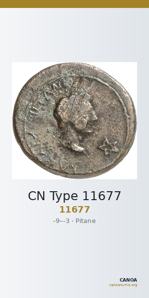CN Type 11677 — CANOA