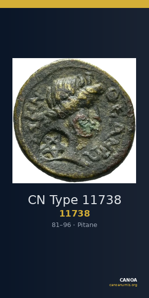 CN Type 11738 — CANOA