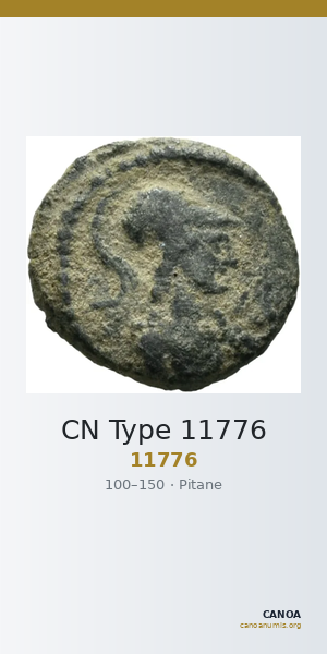 CN Type 11776 — CANOA